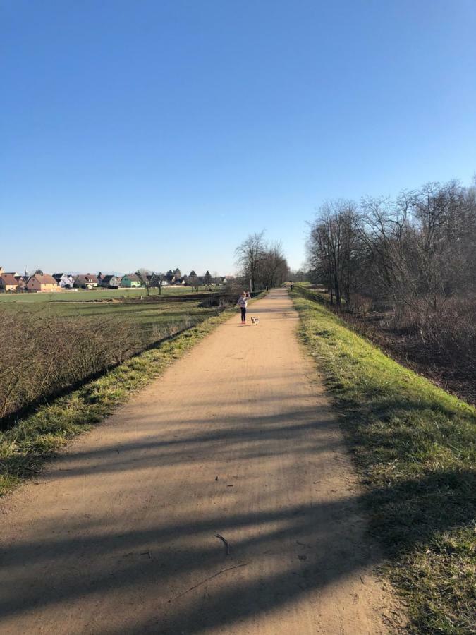 Gite Wellness Le Six H Andolsheim Exterior foto